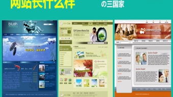 網(wǎng)站建設 構建數(shù)字世界的基石