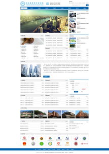 中際協(xié)網(wǎng)站效果圖 深圳網(wǎng)絡公司的建站之道