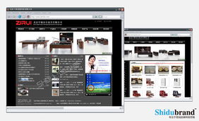 北京網站建設案例展示 洞察行業趨勢，打造卓越數字形象